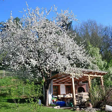 Apartment Haus Koenig